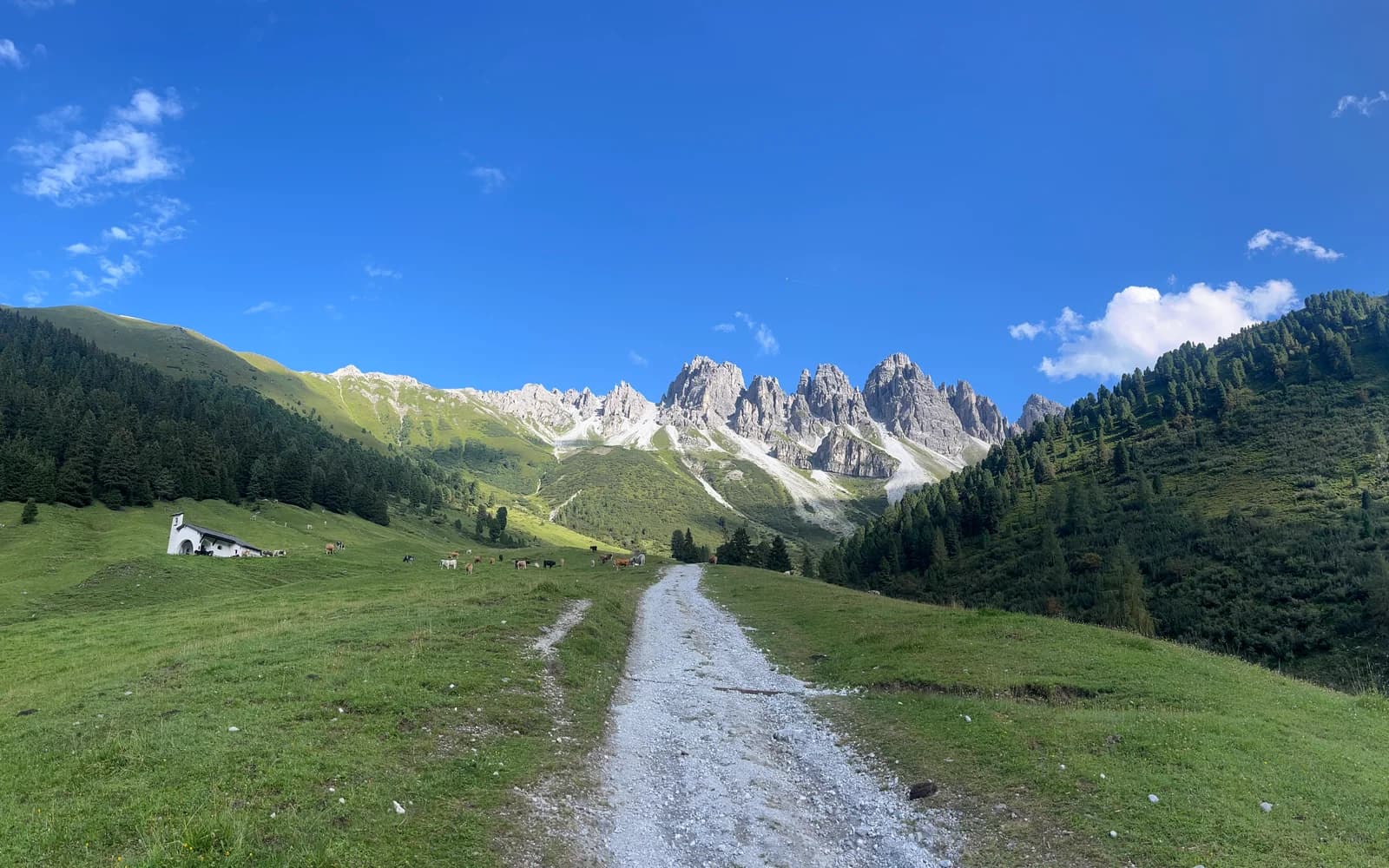 Weg durch eine Berglandschaft als Sinnbild für die gemeinsame Begleitung von Familien in der Trauer